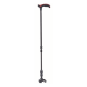 Bastone con puntale snodato